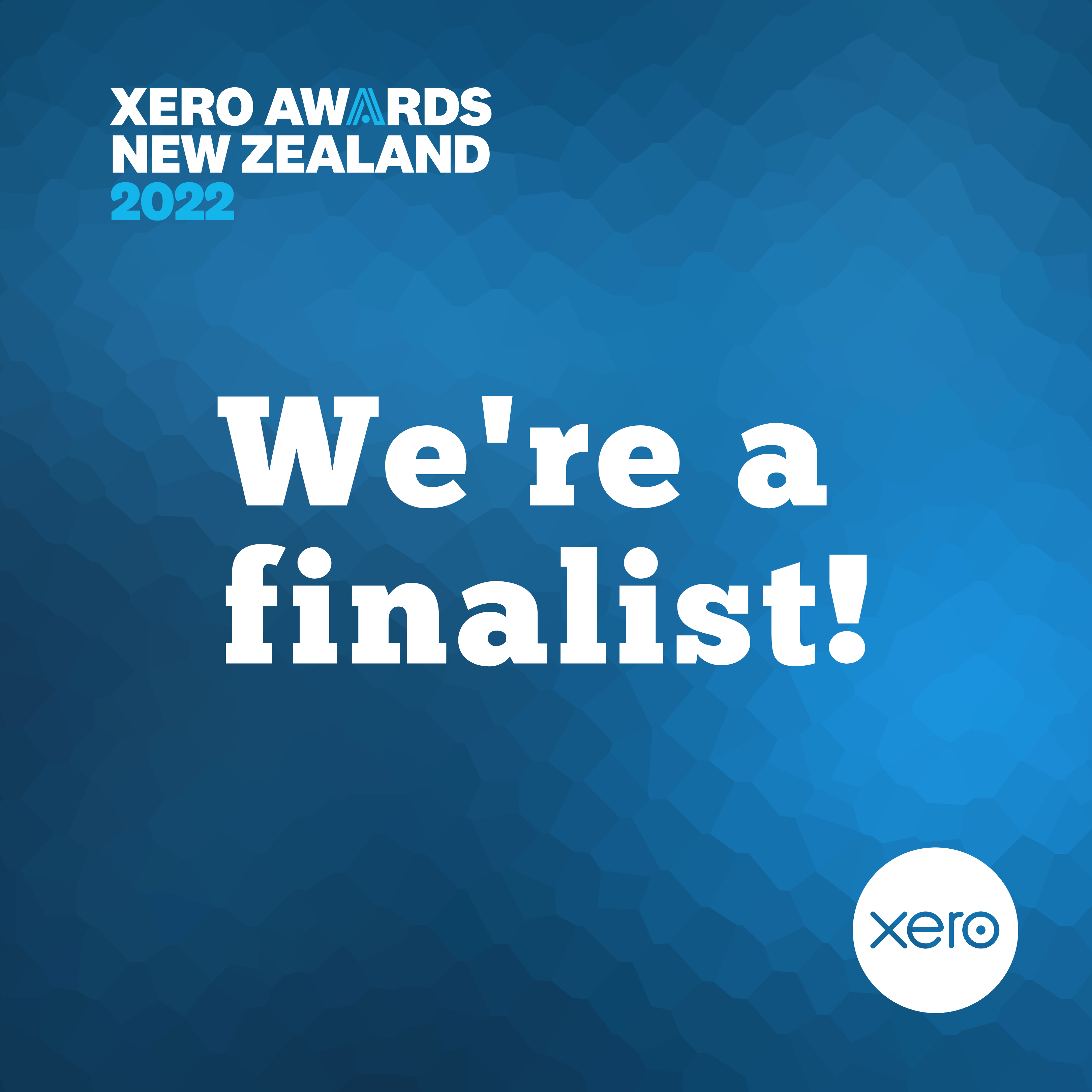 National Partner Award Finalist 2022!